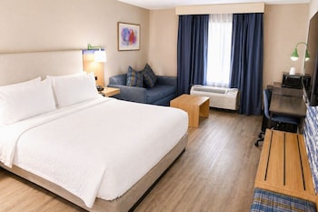 Standard Room, 1 King Bed with Sofa bed