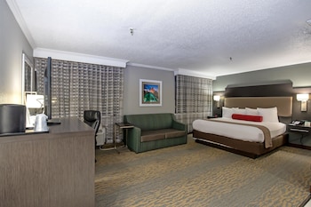 Suite, 1 King Bed, Non Smoking, Refrigerator & Microwave (Larger Room;with Sofabed)