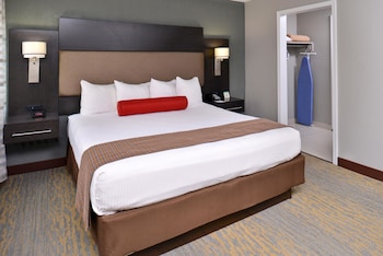 Standard Room, 1 Double Bed, Accessible, Bathtub