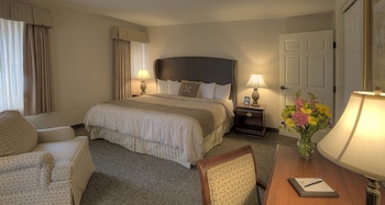 Standard Room, 1 King Bed, Non Smoking (with Sofabed)