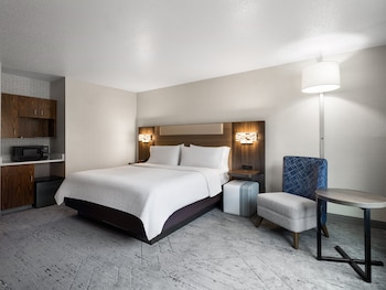 Standard Room, 1 King Bed, Accessible (Communications, Roll-In Shower)