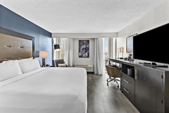 Room, 1 King Bed with Sofa bed, Accessible (Roll-In Shower)