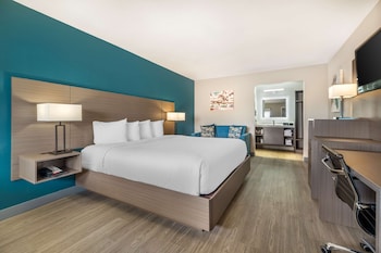 Standard Room, 1 King Bed, Non Smoking, Refrigerator & Microwave (Deluxe)