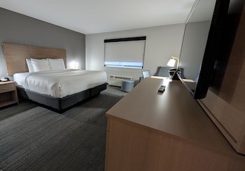 Room, 1 King Bed, Roll-in Shower, Non Smoking