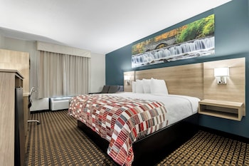 Superior Room, 1 King Bed, Roll-in Shower, Non Smoking