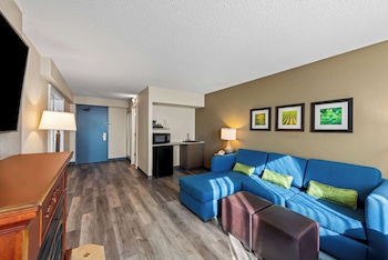 Suite, 1 King Bed with Sofa Bed, Non Smoking with Hot Tub