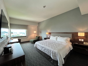 Standard Room, 1 King Bed (Walk-In Shower)