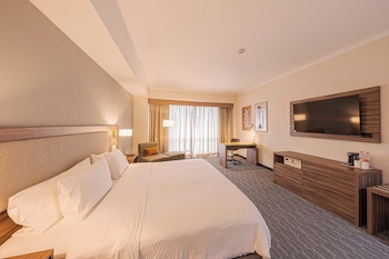 Premium Room, 1 King Bed (Walk-In Shower)