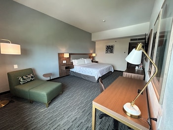 Premium Room, 1 King Bed (Walk-In Shower)