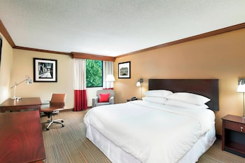 Room, 1 King Bed (Mobility/Hearing Access, Roll-in Shwr)