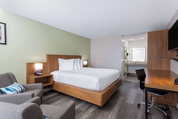 Standard Room, 1 King Bed, Accessible
