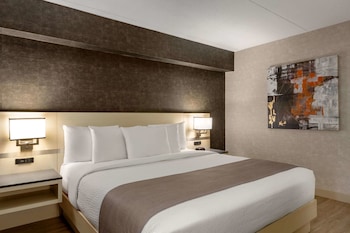 Room, 1 King Bed, Non Smoking