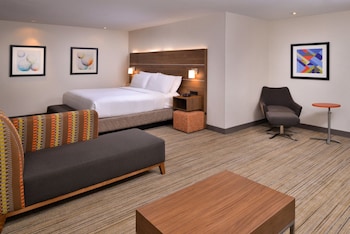 Suite, 1 King Bed with Sofa bed