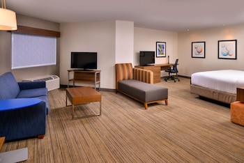 Suite, 1 King Bed with Sofa bed