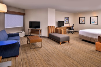 Suite, 1 King Bed with Sofa bed