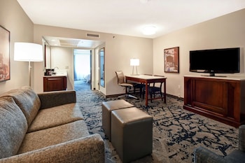 Standard Suite One King and One Sofa Bed Non-Smoking