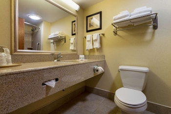 Suite, 1 King Bed with Sofa bed, Accessible, Non Smoking