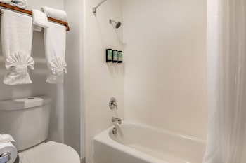 Suite, Multiple Beds, Non Smoking, Kitchen (Full Kitchen)