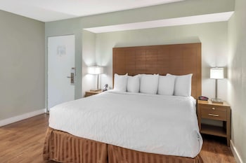 Standard Room, 1 King Bed, Non Smoking, Refrigerator & Microwave
