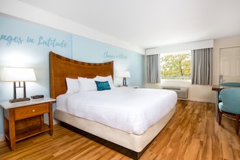 Deluxe Room, 1 King Bed, Lake View