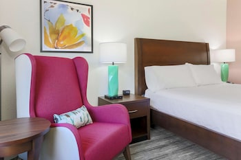 Room, 1 King Bed