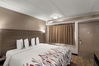 Deluxe Room, 1 King Bed, Smoking