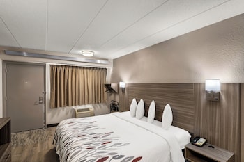 Superior Room, 1 King Bed, Accessible, Non Smoking (Roll-In Shower)