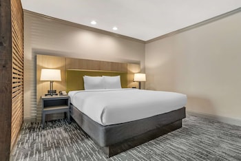 Studio Suite, 1 King Bed with Sofa bed, Non Smoking