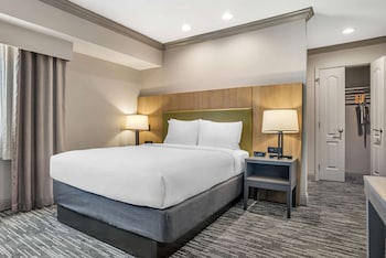 Room, 1 Queen Bed, Non Smoking