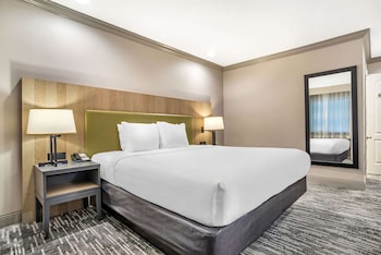 Room, 1 King Bed, Accessible, Non Smoking (Roll-in Shower)