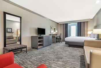 Studio Suite, 1 King Bed with Sofa bed, Non Smoking