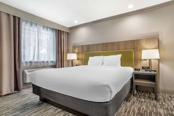 Room, 1 King Bed, Accessible, Non Smoking (Roll-in Shower)
