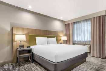 Room, 1 King Bed, Accessible, Non Smoking