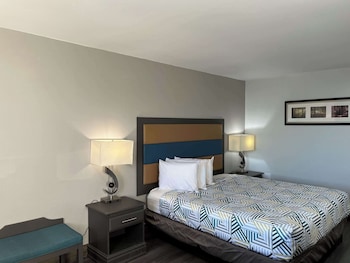 Deluxe Room, 1 King Bed, Smoking, Refrigerator & Microwave