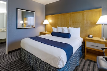 Room, 1 King Bed, Non Smoking