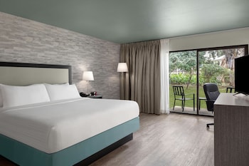 Standard Room, 1 King Bed, Terrace, Courtyard View