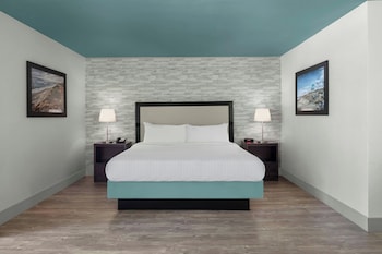 Studio Suite, 1 Bedroom