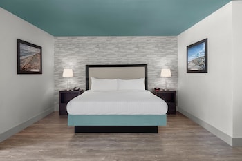 Deluxe Studio, 1 King Bed with Sofa bed