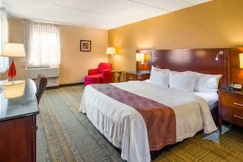 Standard Room, 1 King Bed, Non Smoking