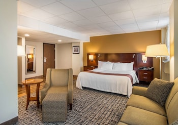 Standard Room, 1 King Bed, Non Smoking