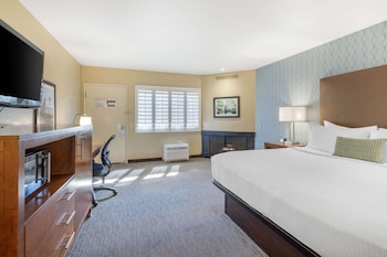 Standard Room, 1 King Bed, Non Smoking, Fireplace