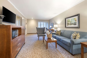 Suite, 1 King Bed, Accessible, Non Smoking (Walk-in Shower;with Sofabed)