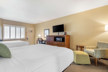 Standard Room, 2 Double Beds, Non Smoking, Fireplace