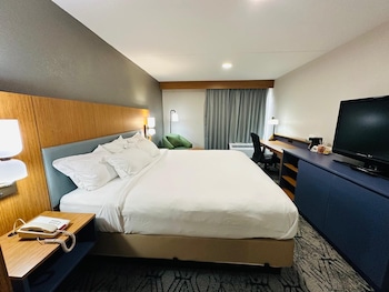 Room, 1 King Bed, Mobility Accessible, Non Smoking (Chair-Shower)
