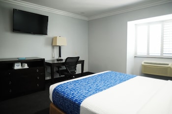 Room, 1 King Bed, Non Smoking, Refrigerator (Pet Friendly)