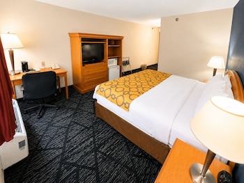 Room, 1 King Bed, Non Smoking