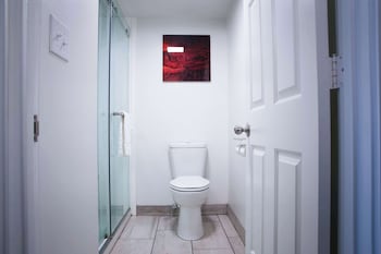Standard Room, 1 King Bed, Non Smoking (Walk-in Shower;Theme Room)