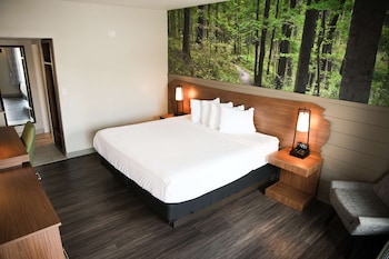 Standard Room, 1 King Bed, Accessible, Refrigerator & Microwave (Theme Room)