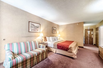 Standard Room, 1 King Bed, Non Smoking