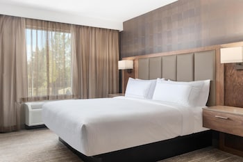 Suite, 1 King Bed